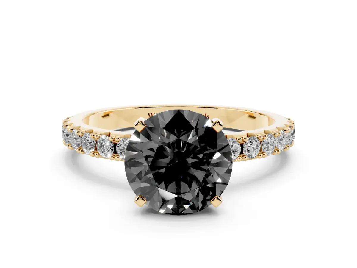 Fancy Black Round Cut Diamond Solitaire Pavé Band with Four-Prong Setting Yellow gold