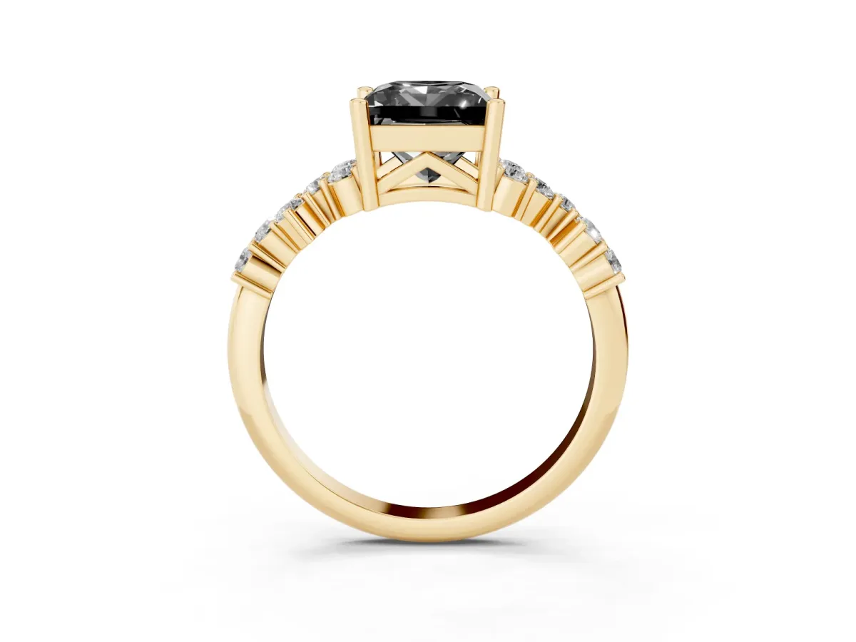 Fancy Black Princess Cut Diamond Scattered Round Accent Ring with Prong Setting Yellow gold