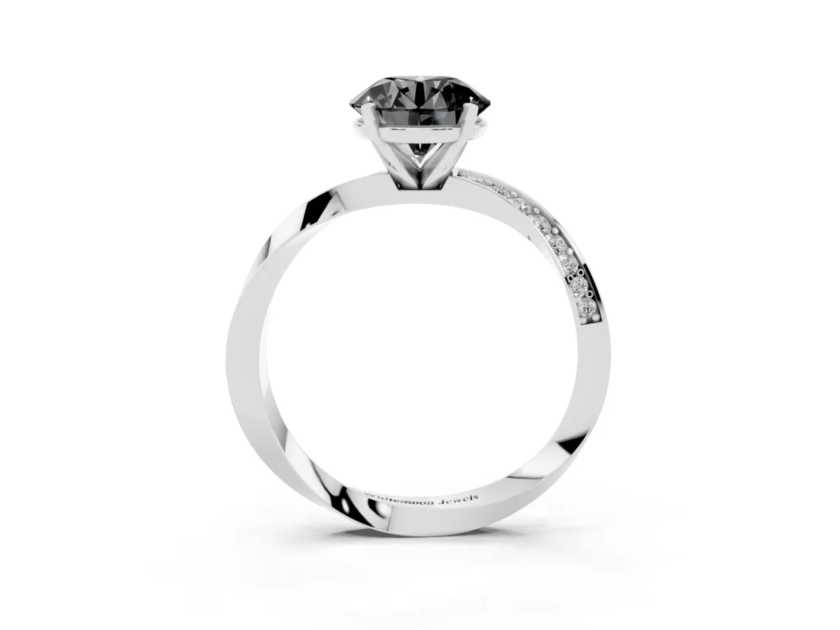 Fancy Black Round Cut Diamond Engagement Ring with Side Stone Accents and Four-Prong Setting Silver