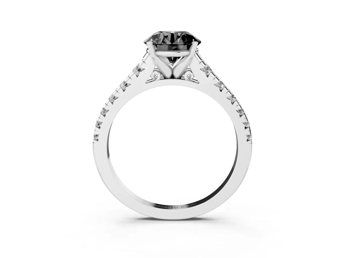Fancy Black Round Cut Diamond Cathedral Solitaire Ring with Round Pavé Band Platinum