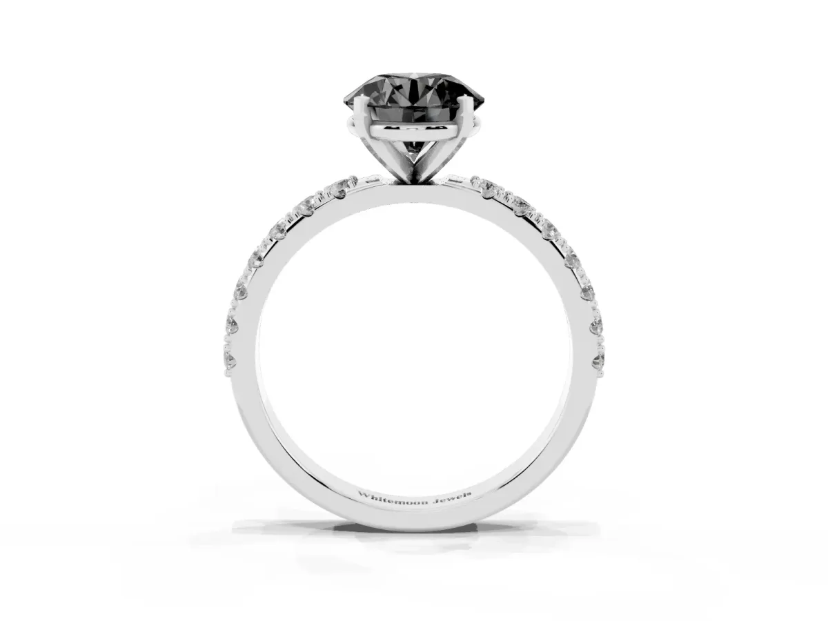 Fancy Black Round Cut Diamond Solitaire Pavé Band with Four-Prong Setting Silver
