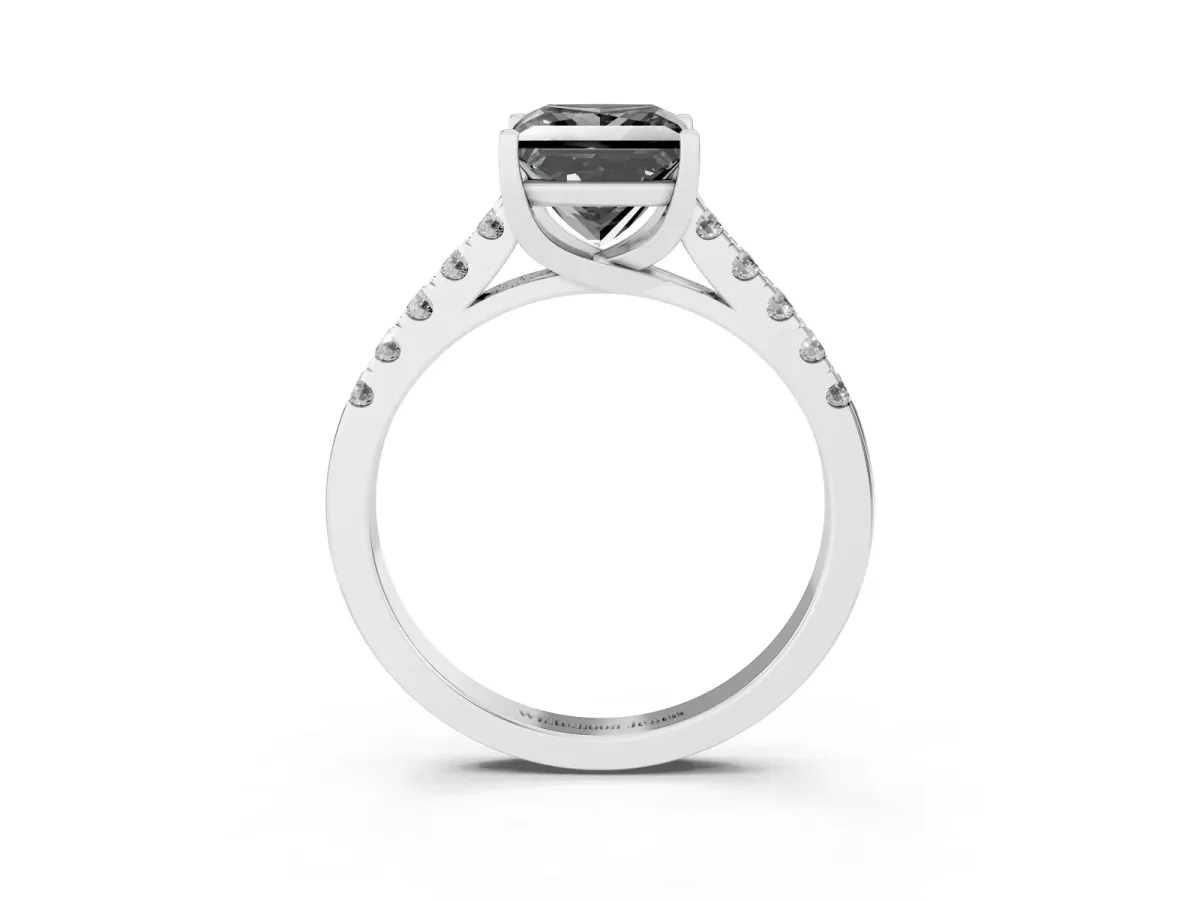 Fancy Black Princess Cut Diamond Pavé Band Solitaire Ring with Prong Setting Platinum