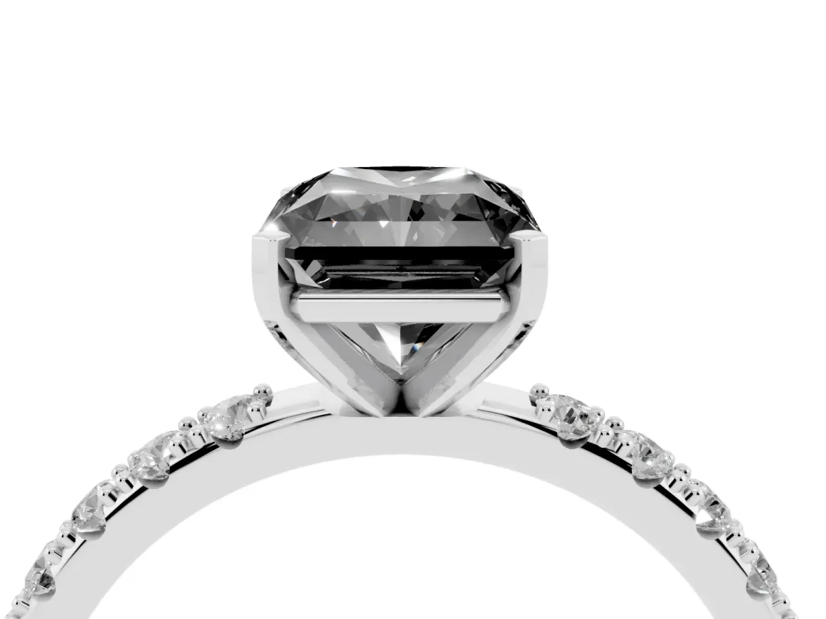 Fancy Black Radiant Cut Diamond Solitaire Pavé Band with Four-Prong Setting Silver