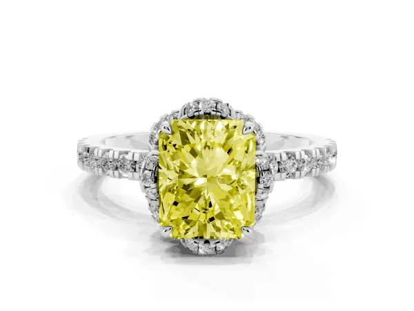 Fancy Yellow Radiant Cut Diamond Halo Pave Band with Four-Prong Setting White gold