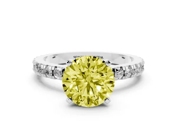 Fancy Yellow Round Cut Diamond Pavé Band Solitaire with Four-Prong Setting White gold