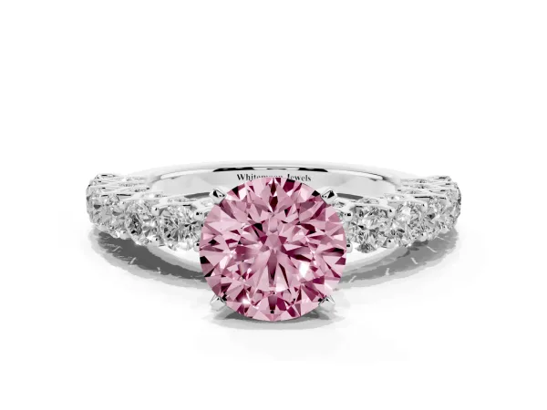 Fancy Pink Round Cut Diamond Solitaire Ring with Shared Prong Pavé Band and Four-Prong Setting White gold