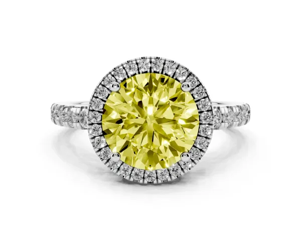 Fancy Yellow Round Cut Diamond Halo Ring with Pavé Band and Four-Prong Setting White gold