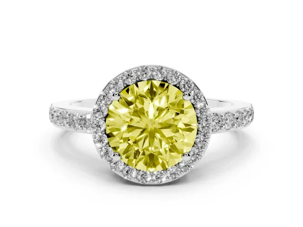 Fancy Yellow Round Cut Halo Diamond Pavé Band Ring with Prong Setting White gold