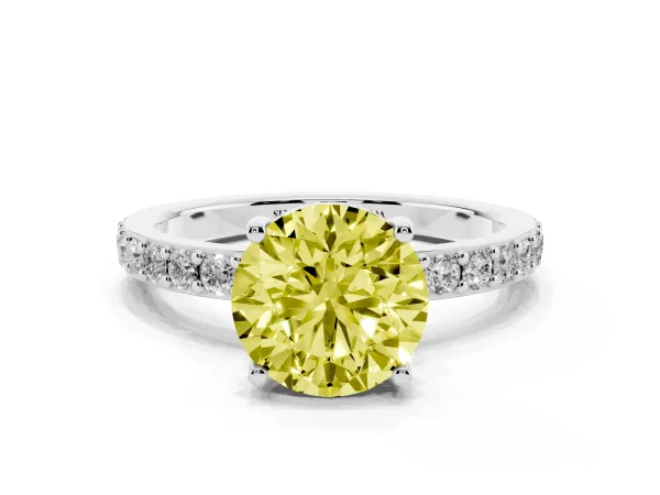 Fancy Yellow Round Cut Cut Diamond Solitaire with Pave Band and Four-Prong Setting White gold